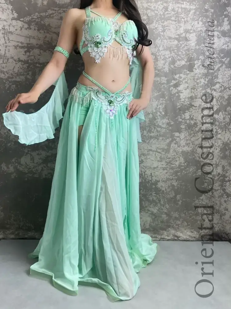 こんなベリーダンス衣装欲しかった♡ bellydanceが投稿したフォトブック Lemon8