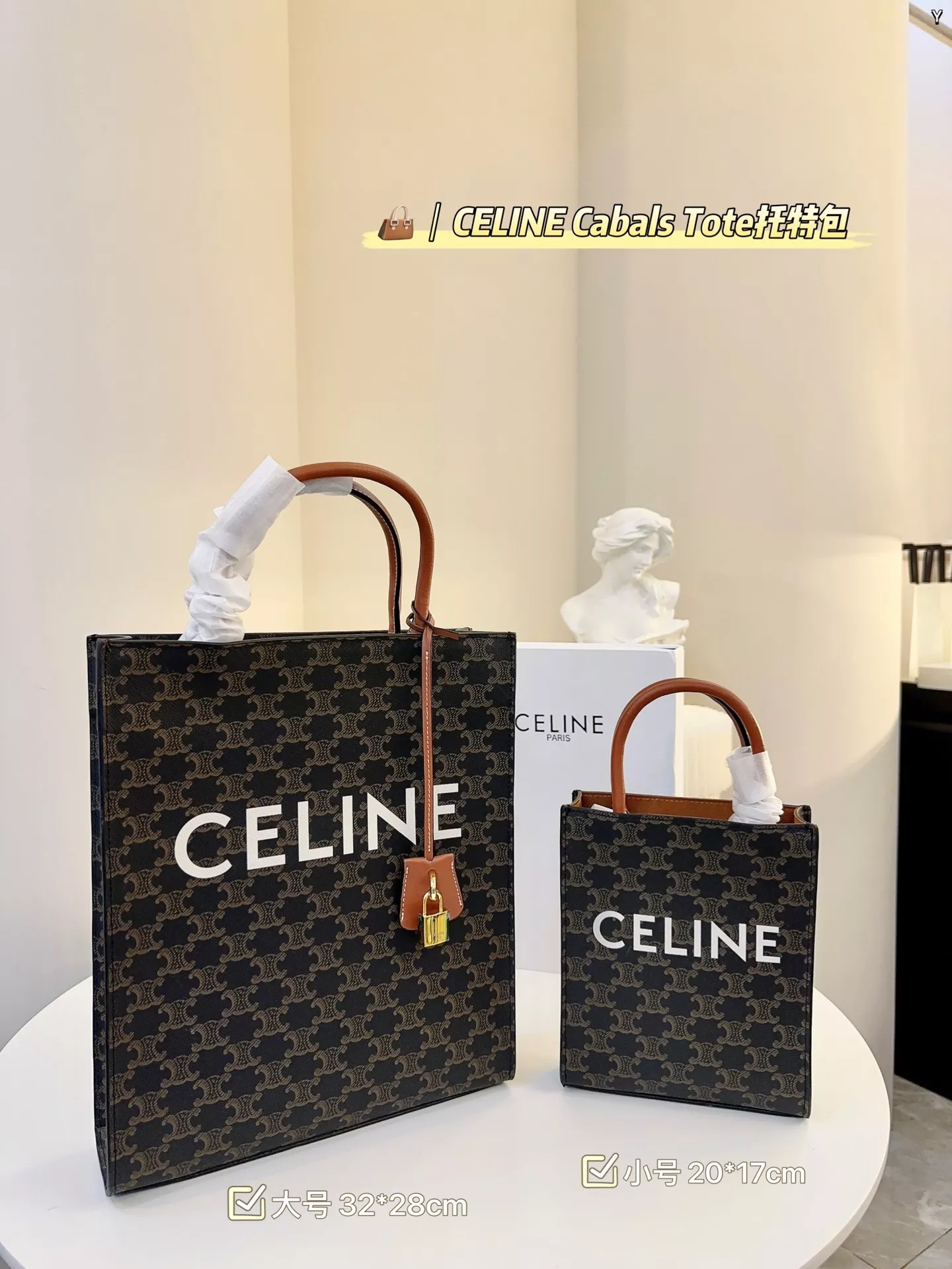 CELINE MINI VERTICAL CABAS TOTE  Celine Bag Unboxing and Review