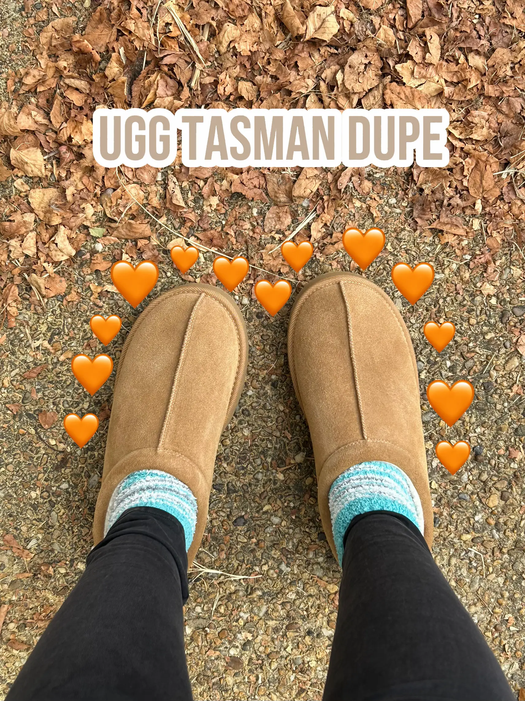 DHGATE UGG TASMAN REVIEW, Gallery posted by alwayseatingnyc