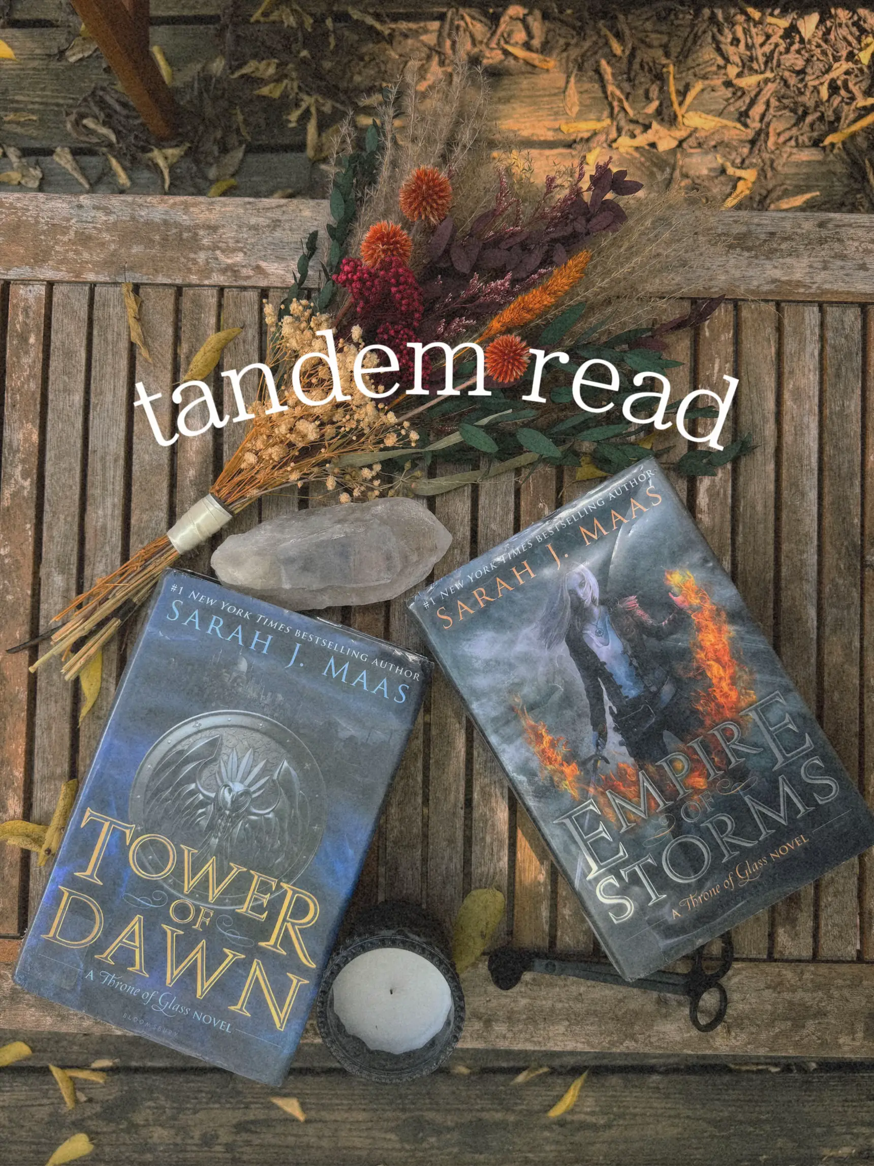 Throne of Glass tandem read on kindle! I got my reading guide from