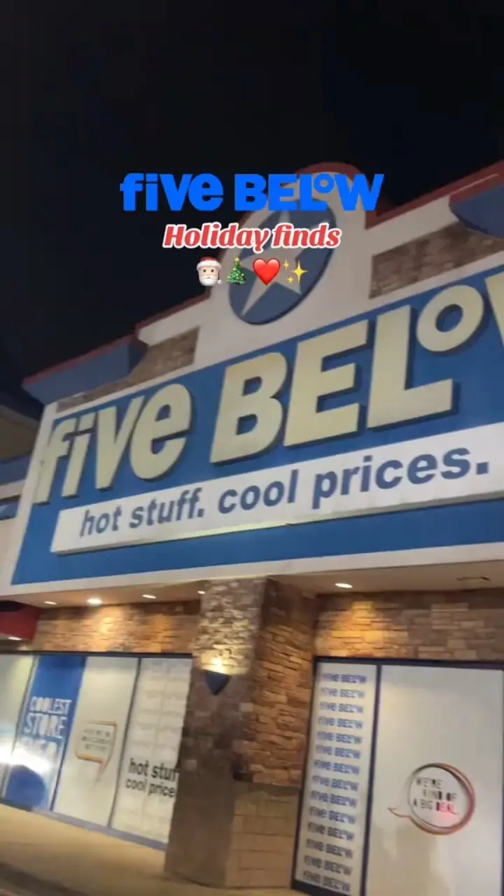 five-below-holiday-finds-video-published-by-home-journal-lemon8