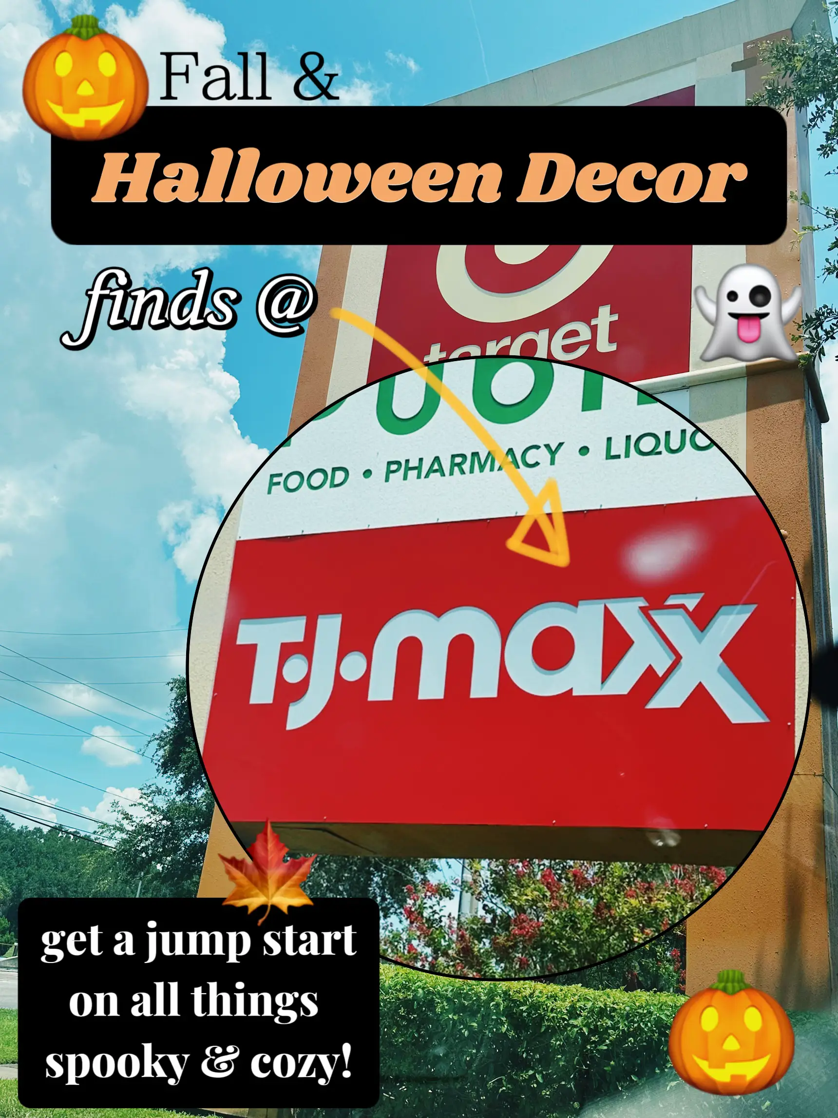 Cool HALLOWEEN Home Goods, TJ Maxx, Marshalls Variety Reusable