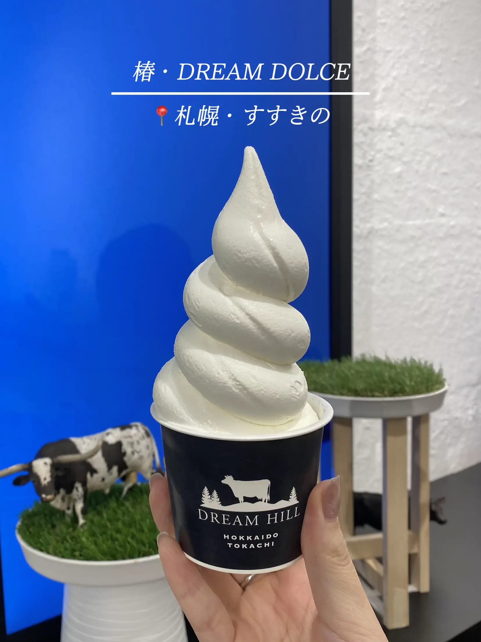 札幌】まるで生クリーム？な濃厚ソフト🍦 | aynが投稿したフォトブック | Lemon8