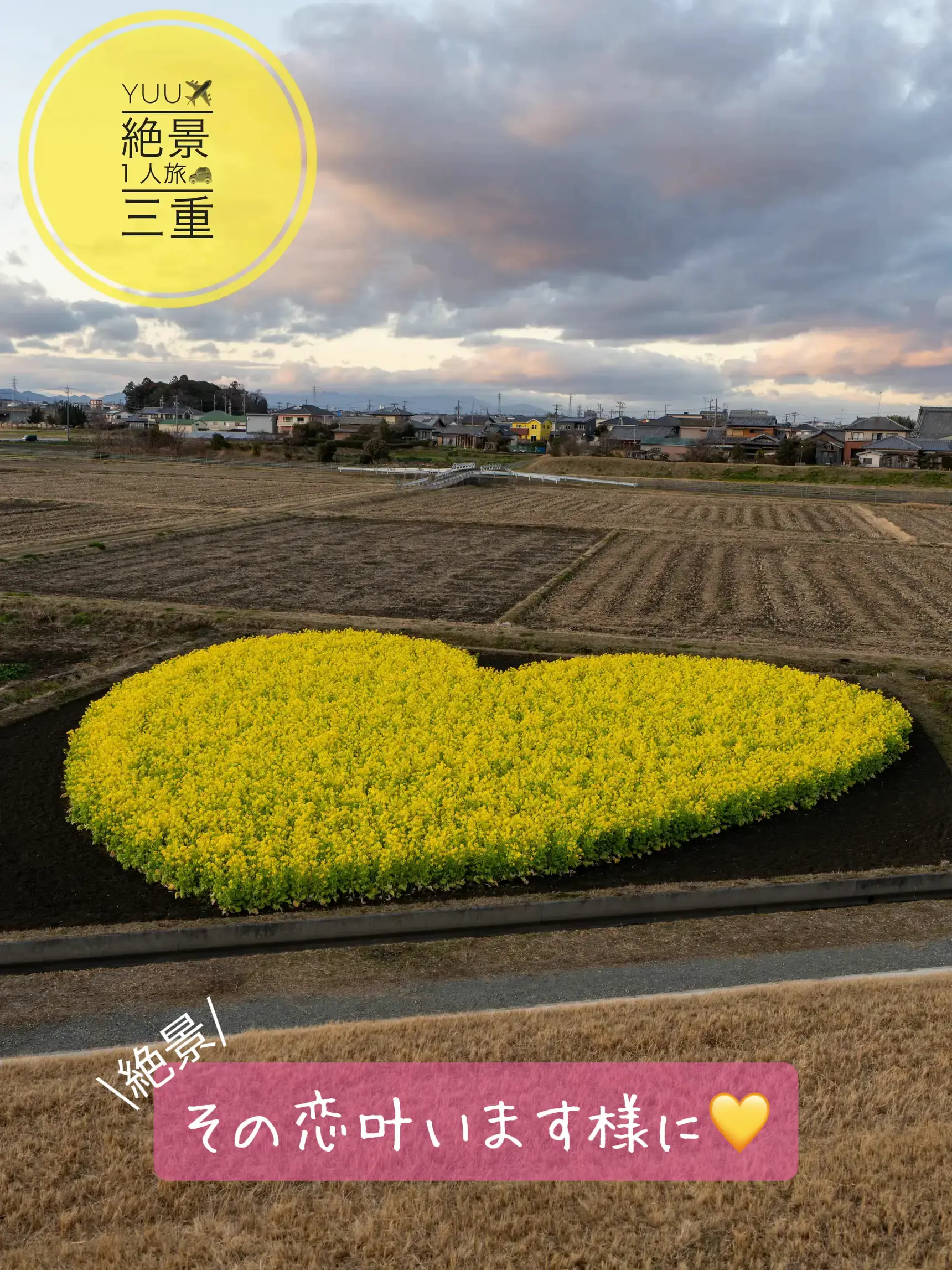 2024年の三重県津市 ハート菜の花のアイデア20選