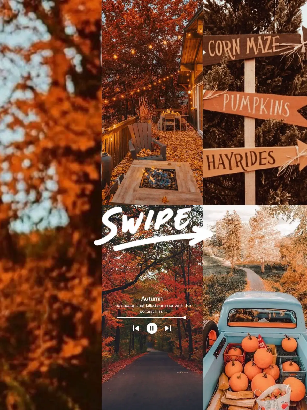 Fav Time My favorite time of the year !🖤 | Gallery posted by Leo89_ | Lemon8