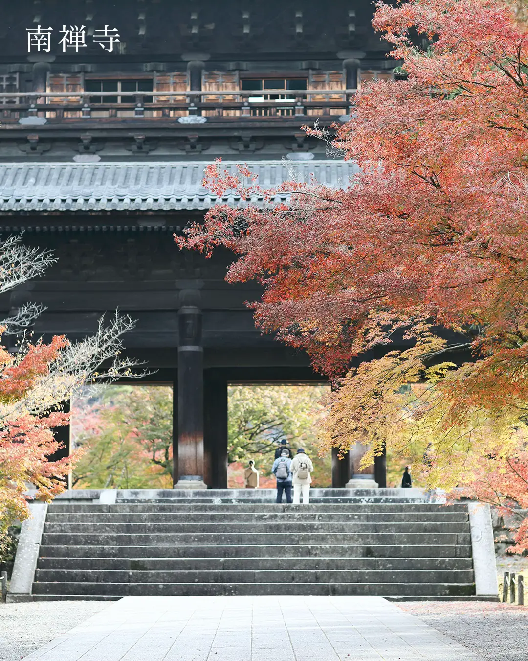 色鮮やかなカエデやモミジ、まさに「別格」の紅葉。京都東山の紅葉散歩♪の画像 (0枚目)
