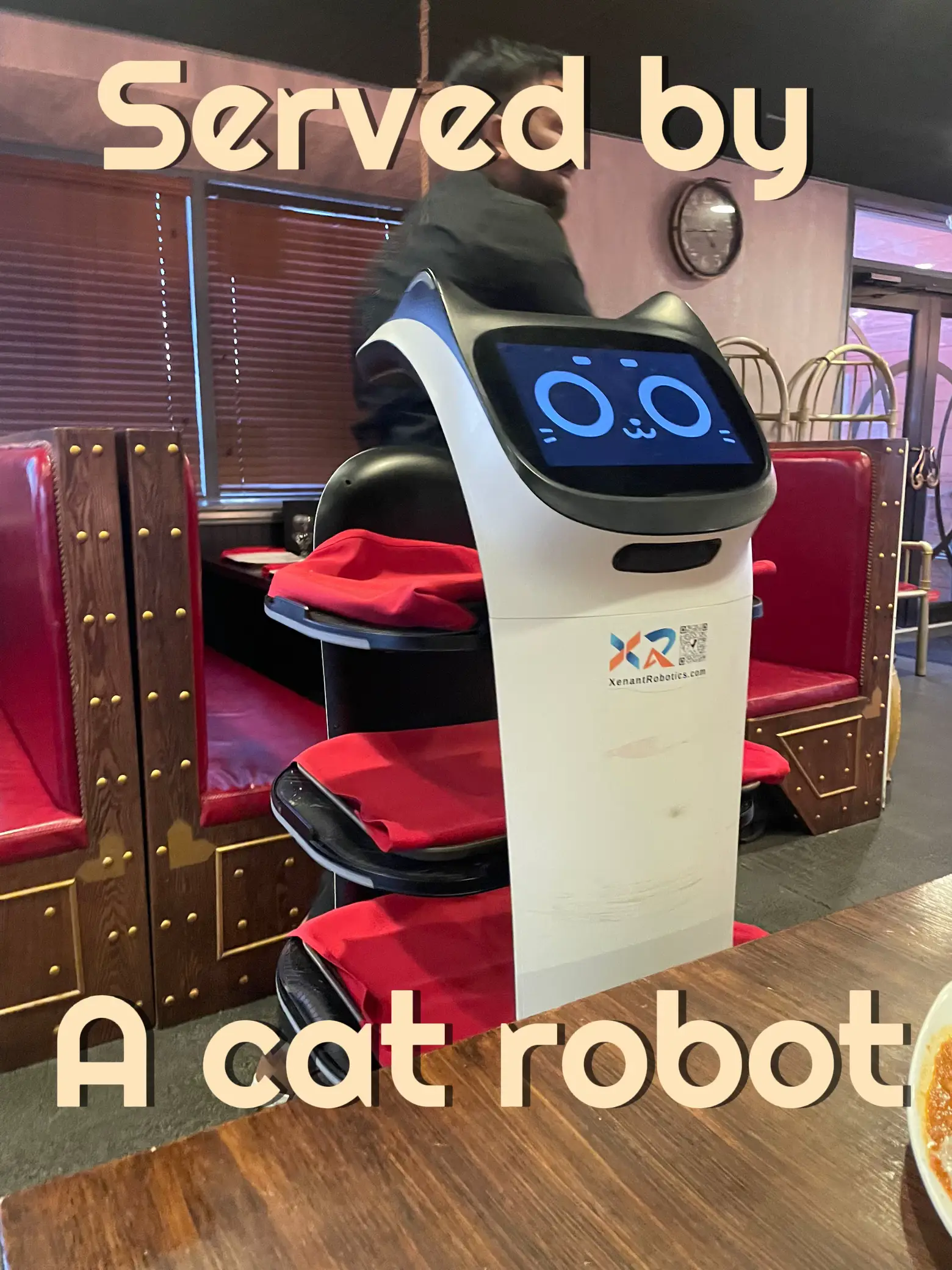 Would you want a cat robot to serve you 🌸 Gallery posted by Sophia