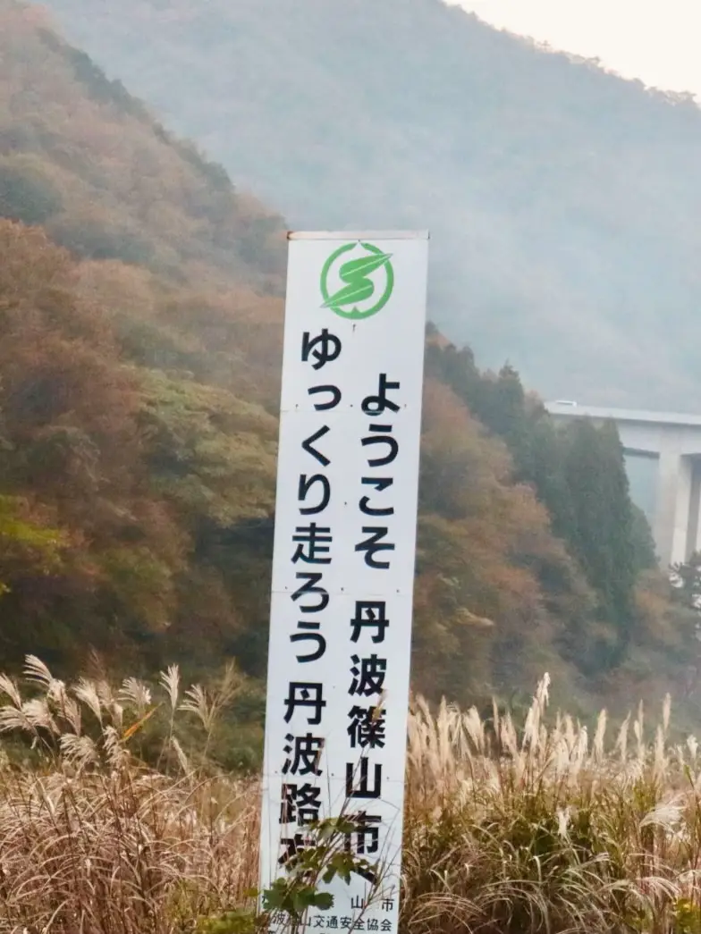 Hyogo】今年も来ちゃいました💗✨秘密にしたいススキ🌾の超穴場スポット📸教えちゃいます☝️✨ |  関西旅フォト🧡YUNSATHUが投稿したフォトブック | Lemon8