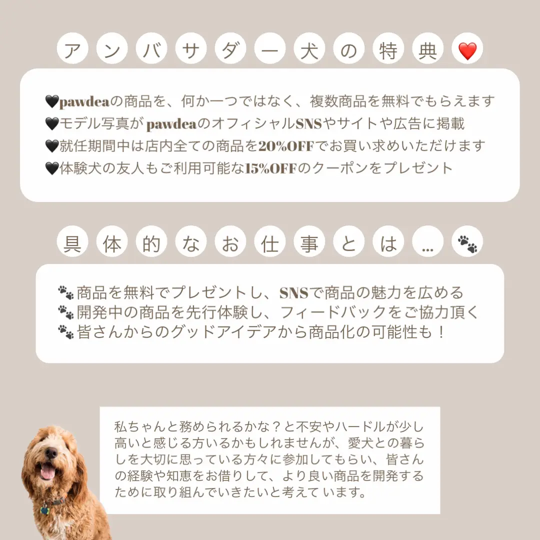 わんちゃんのアンバサダー募集中🐾   | pawdea🐾ポーディーが投稿した