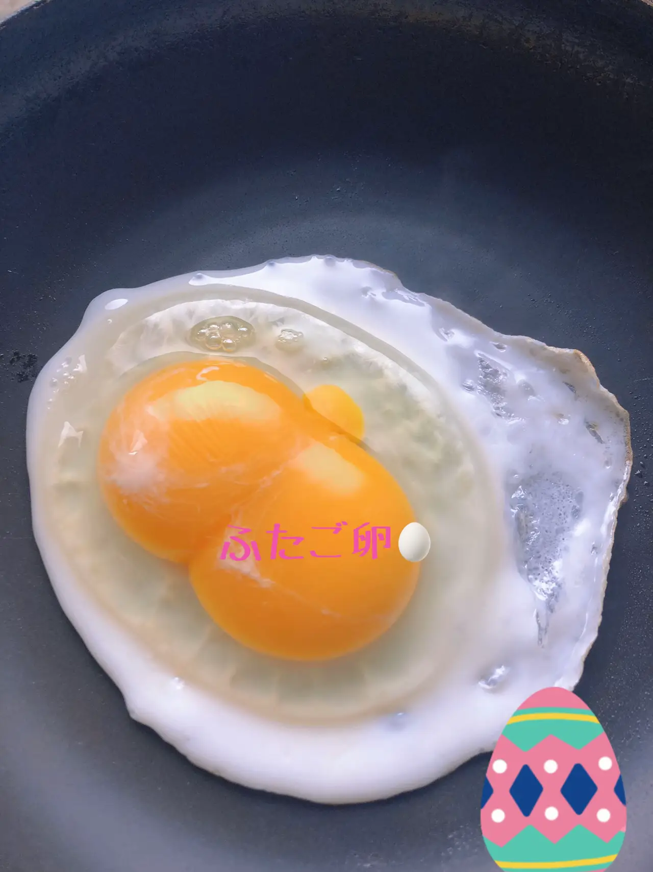 ふたご卵🥚 | momoが投稿したフォトブック | Lemon8