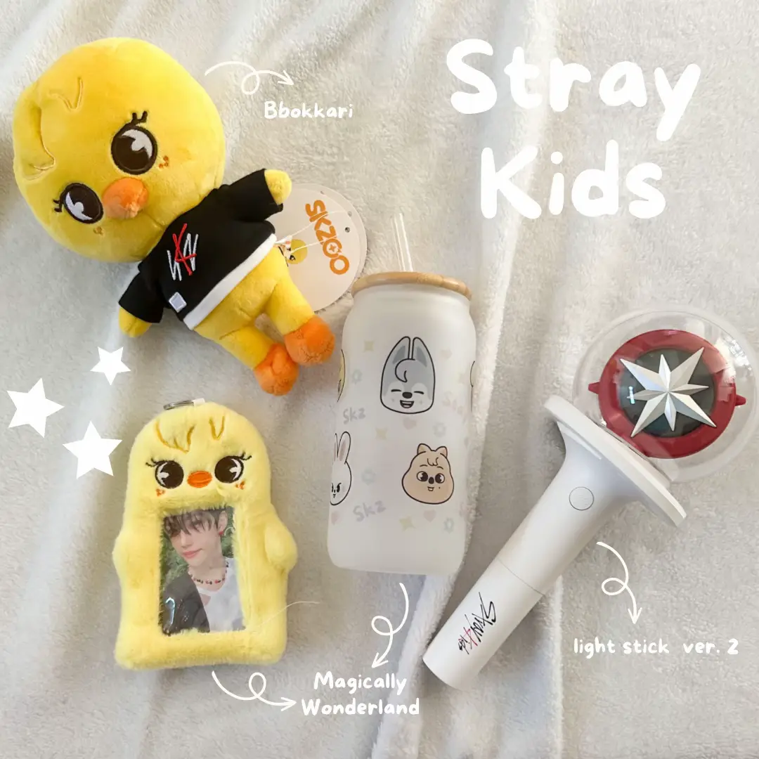 Stray Kids 2019 Official goods Initial Design Light Stick Concert Used/Mint