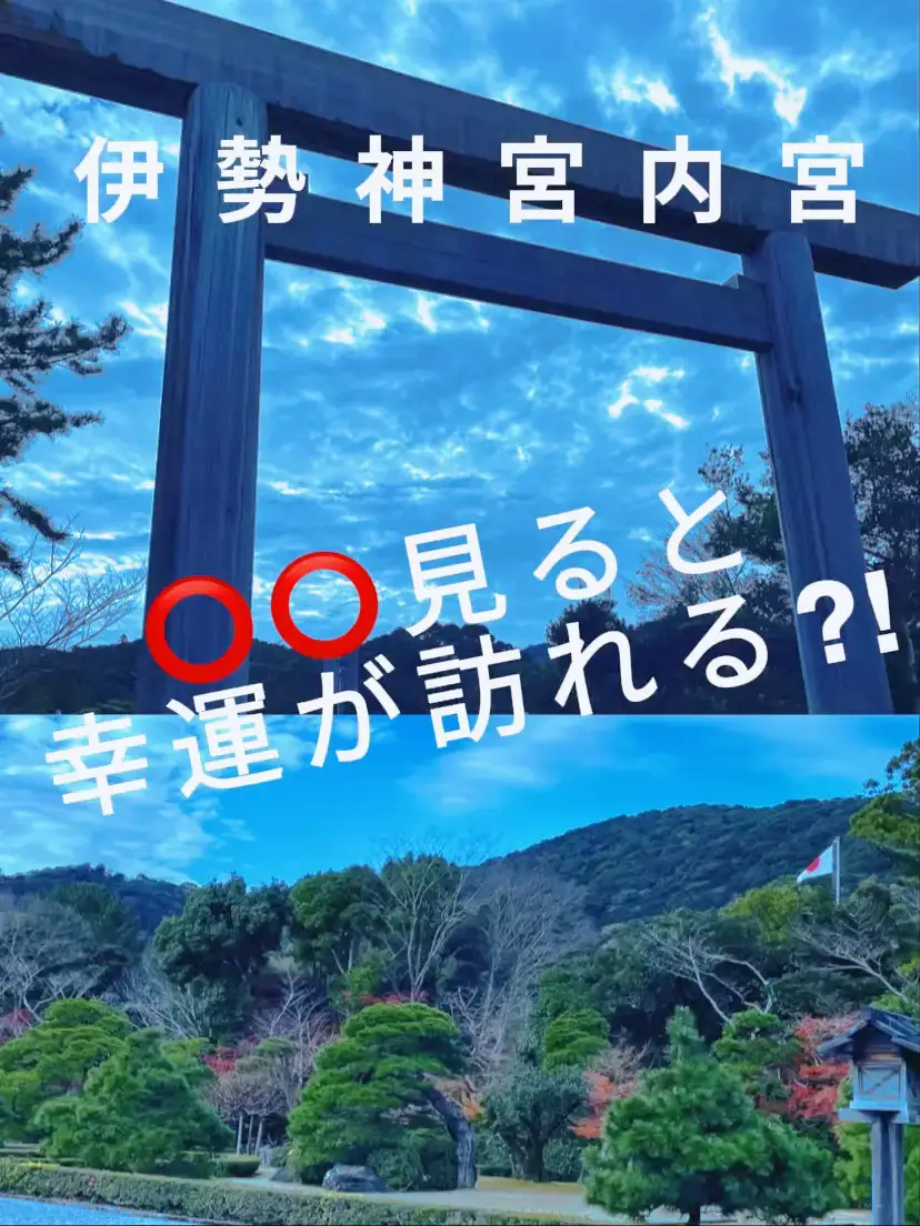 高知・足摺で大地のパワーを感じよう！ ミステリーストーンが並ぶ「唐人駄場」とハート型海蝕洞「白山洞門」 – 電話占いシエロ | 幸運の亀石 | 彫刻・オブジェ | Lzwlze