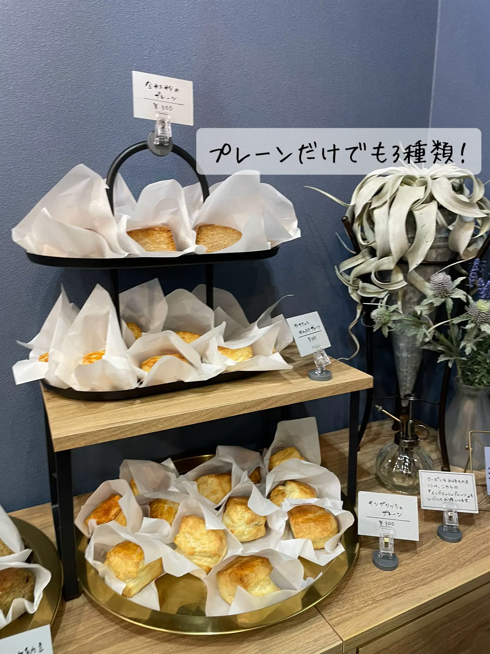 千葉スイーツ】みんなに喜ばれる！人気カヌレ店2号店のスコーン専門店   | まあ |東京推しグルメ🍽️が投稿したフォトブック | Lemon8