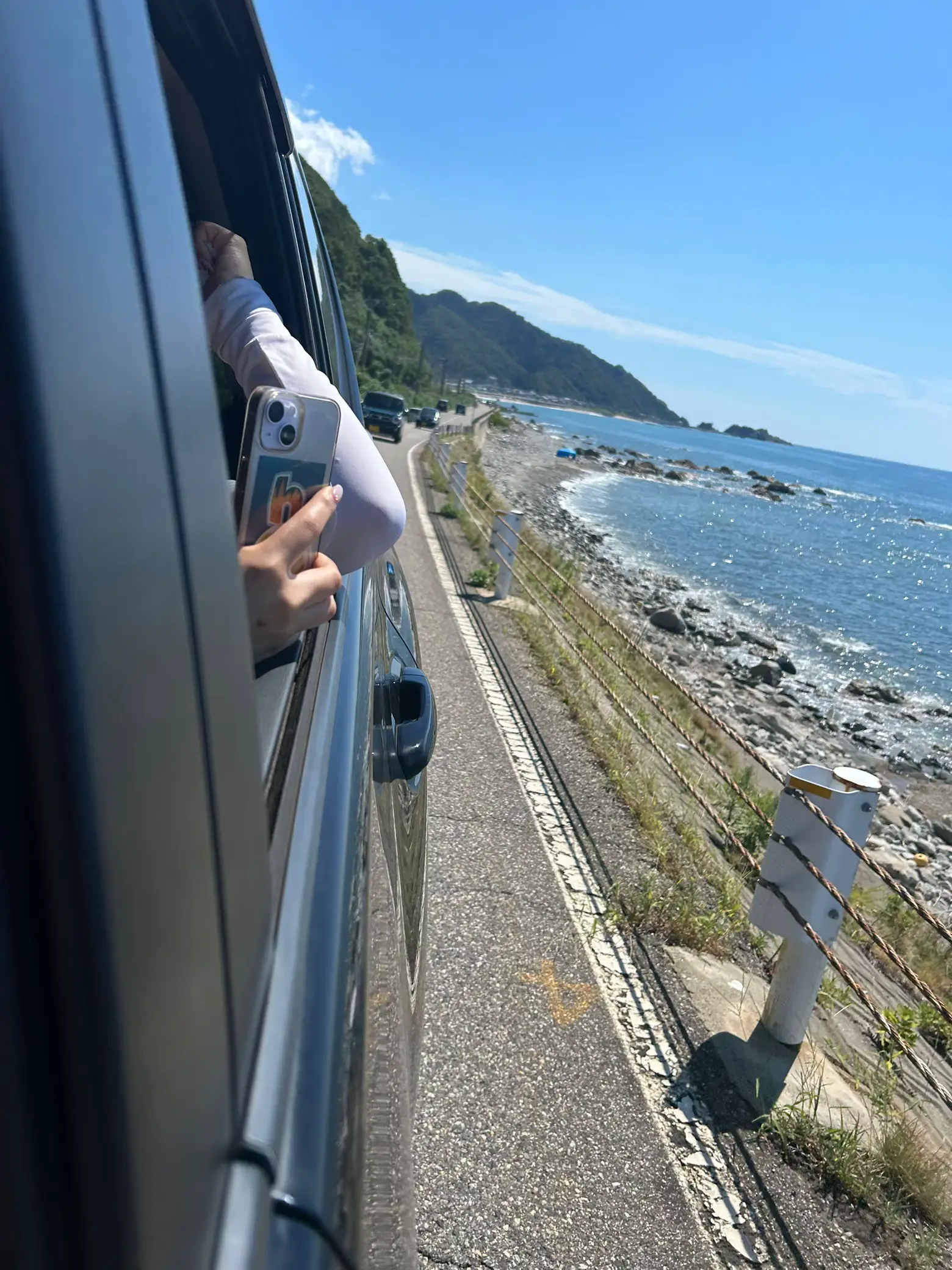 地元の海から取れました少し大きめの流木です！ - 置物