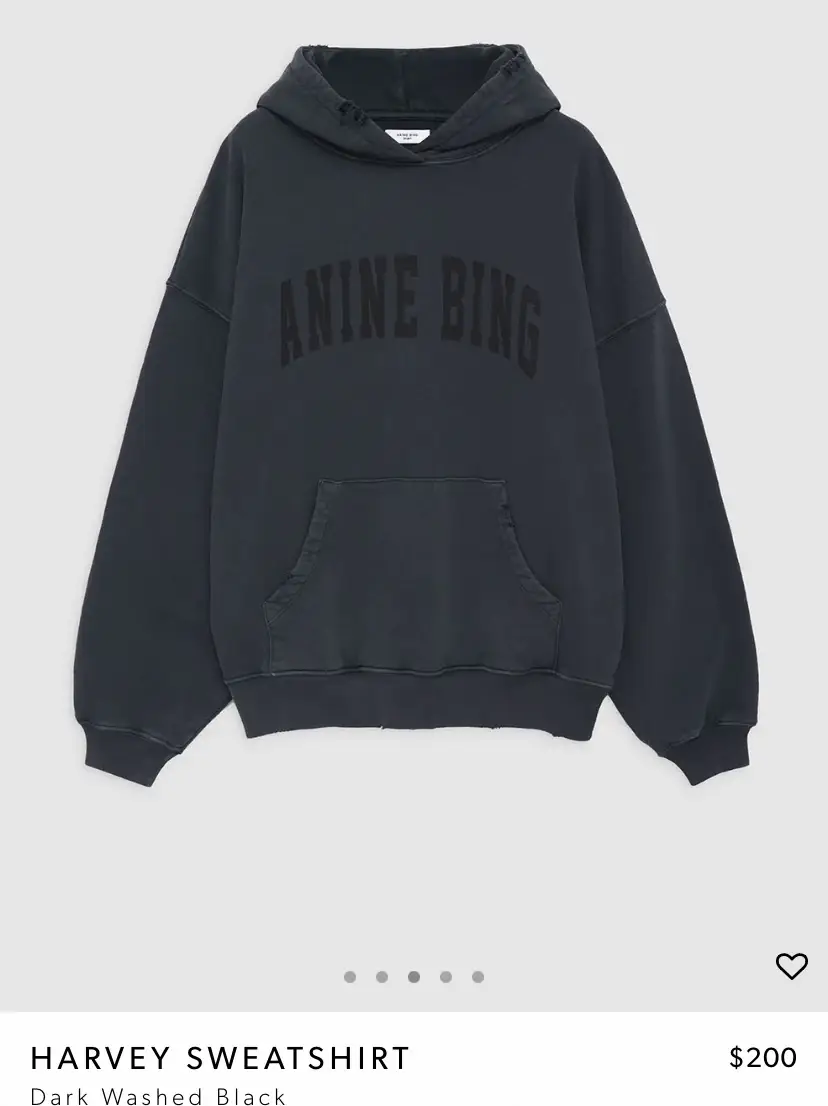 20 top Is The Anine Bing Harvey Hoodie Worth It ideas in 2024