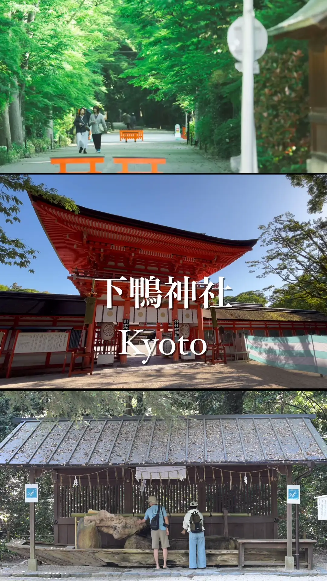 🌿✨【下鴨神社 - 京都の隠れたパワースポット】✨🌿 | はせ |関西の絶景に癒しを求めの投稿動画 | Lemon8