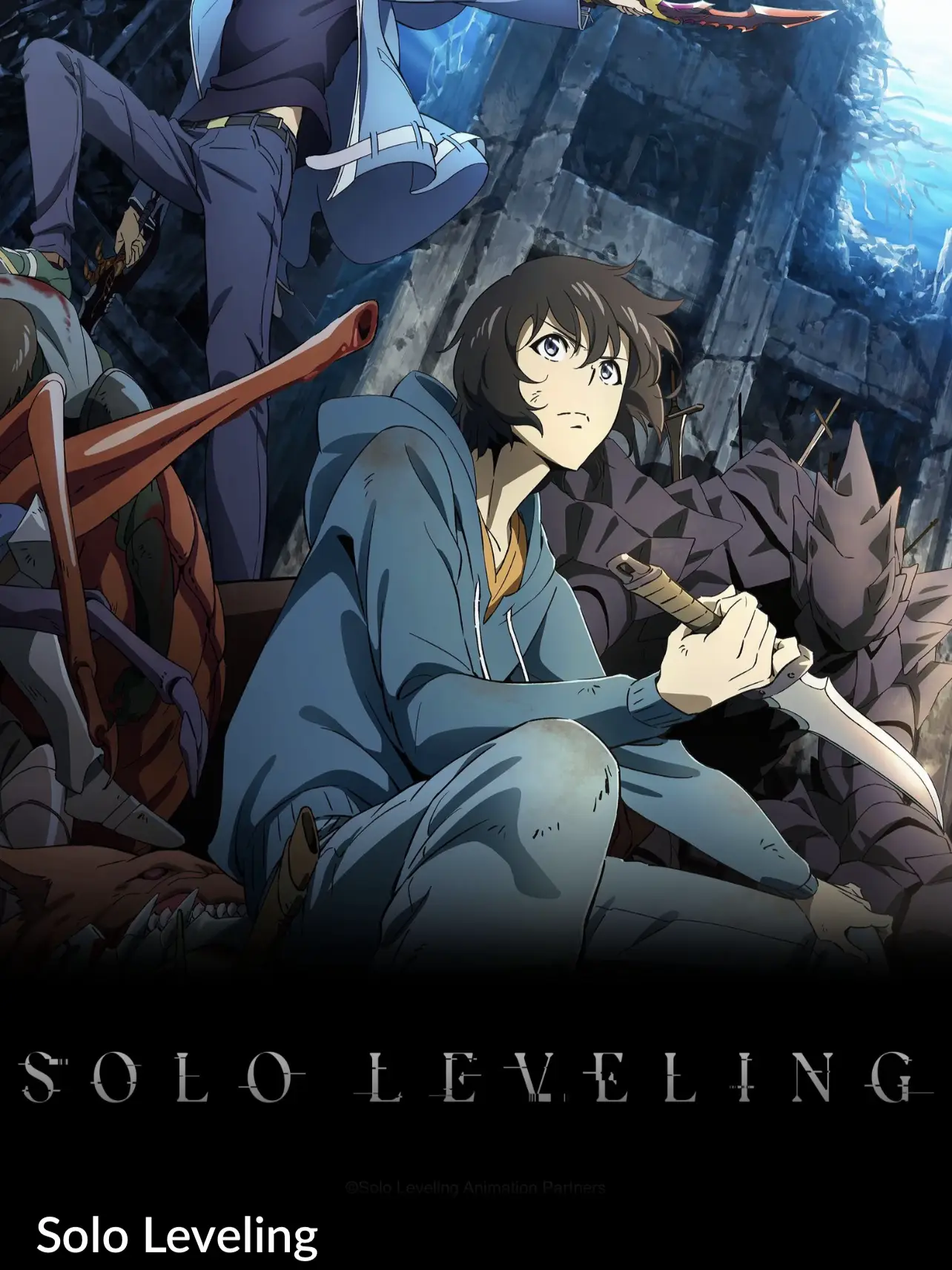 Solo Leveling Anime Adaptation - Lemon8 Search