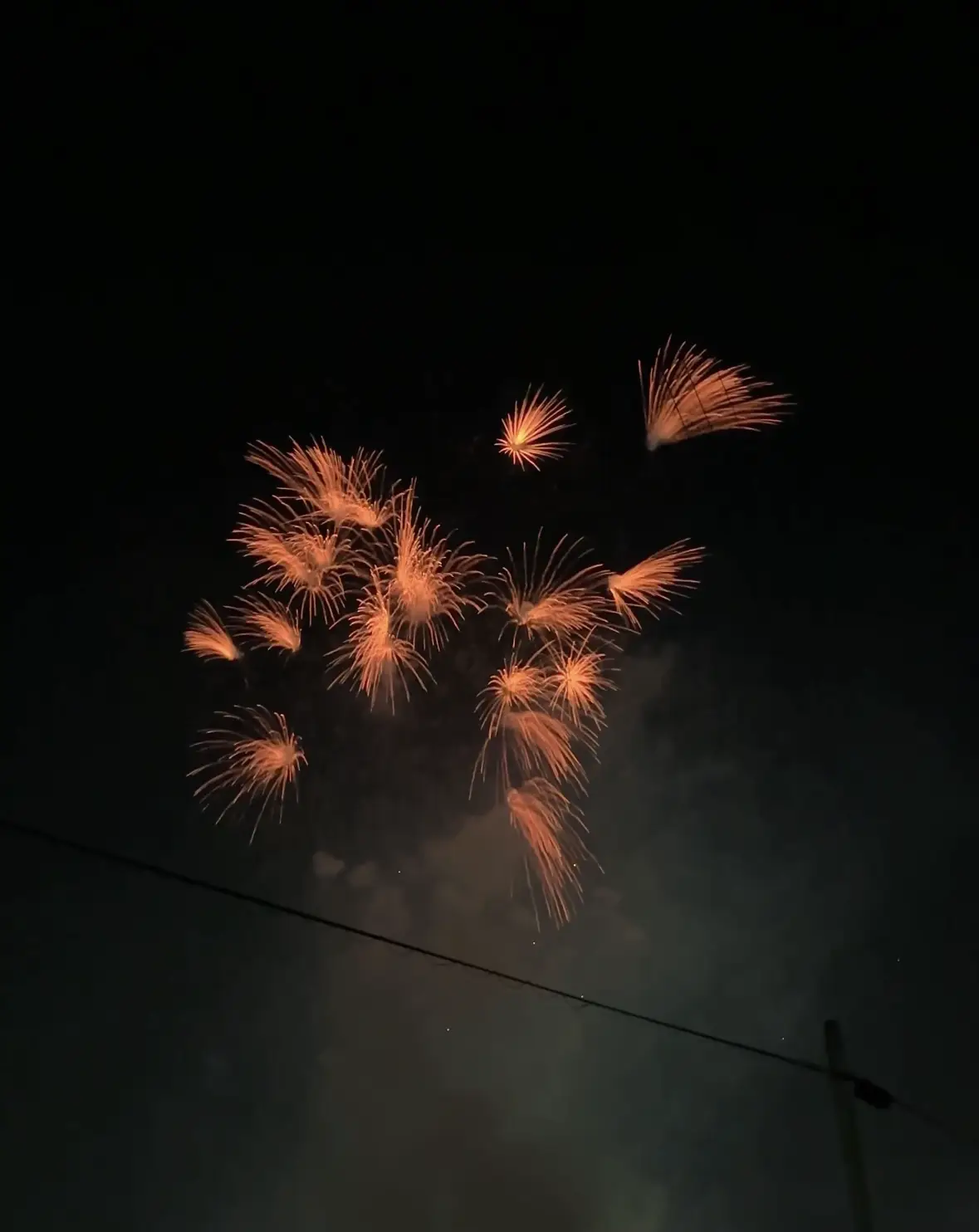 ✨岡崎市花火大会✨ 写真編 | 枝豆が焼き芋みたいだが投稿したフォトブック | Lemon8