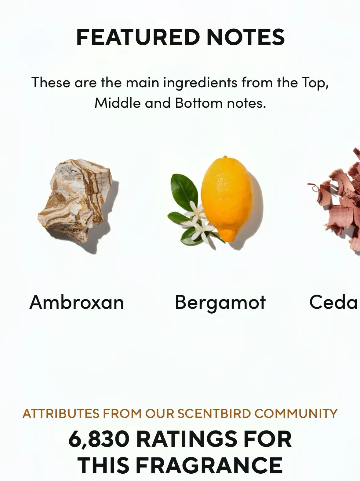 Tropic nectar scentsy