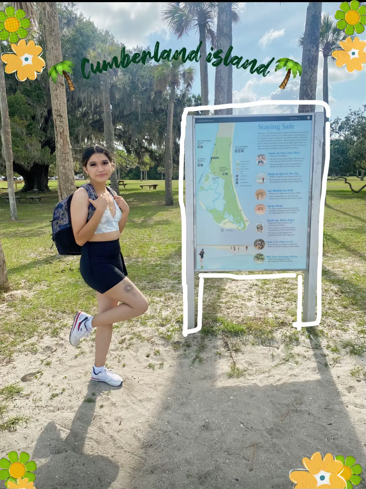 Cumberland Island - Lemon8 Search