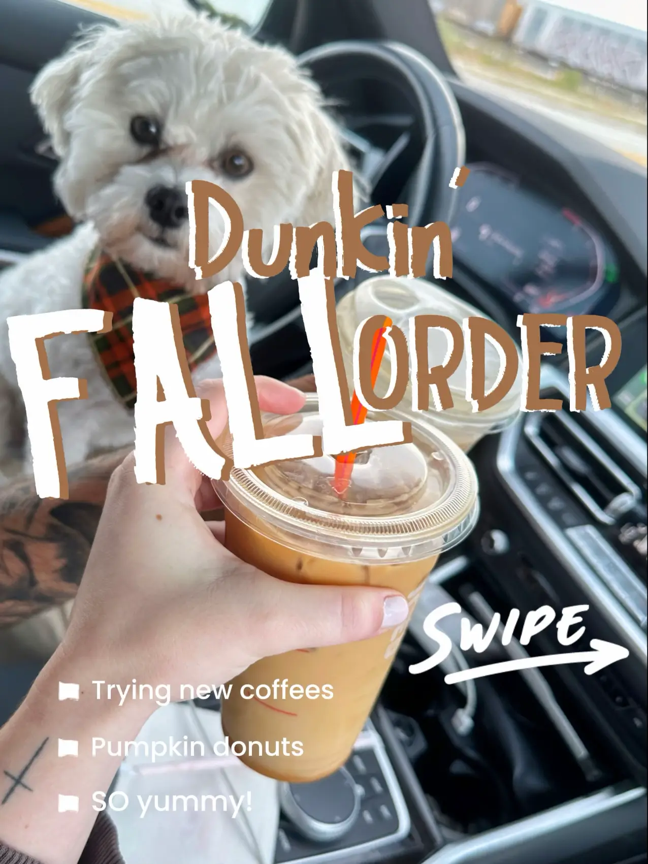 Dunkin donuts outlet puppy latte