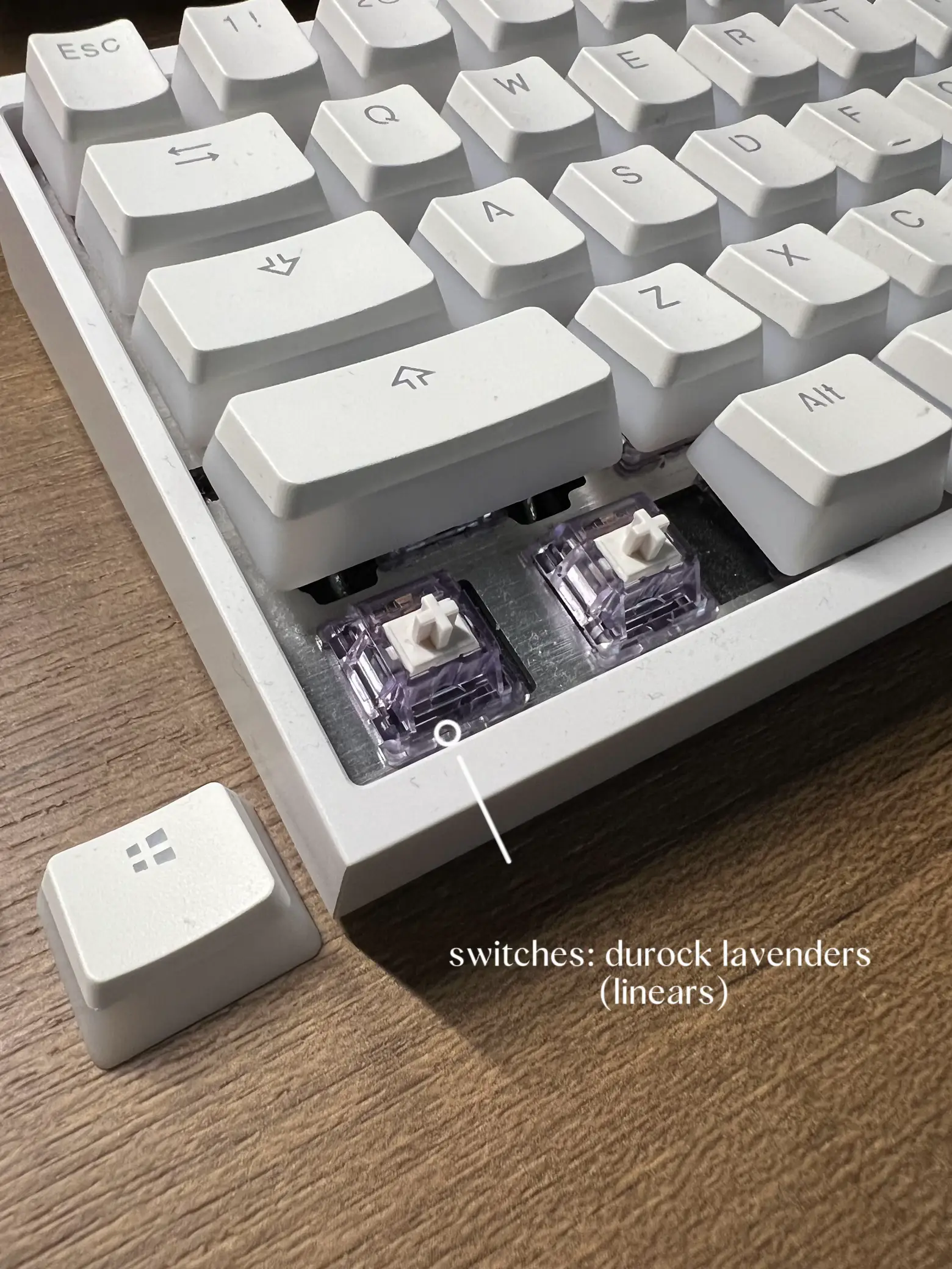 MY MECHANICAL KEYBOARD | แกลเลอรีที่โพสต์โดย selina jiang | Lemon8
