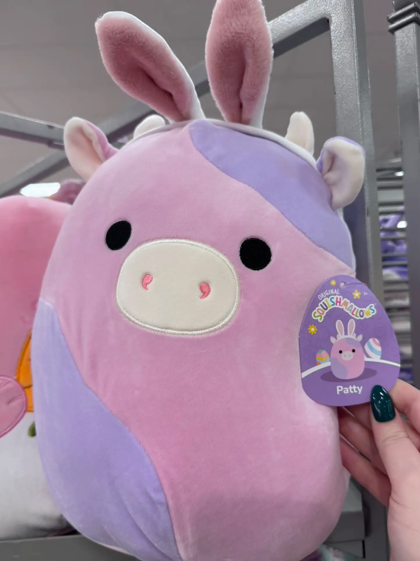 lexi on X: THE SQUISHMALLOW FROG'S NAME IS ROBERT 😭😭😭😭😭   / X