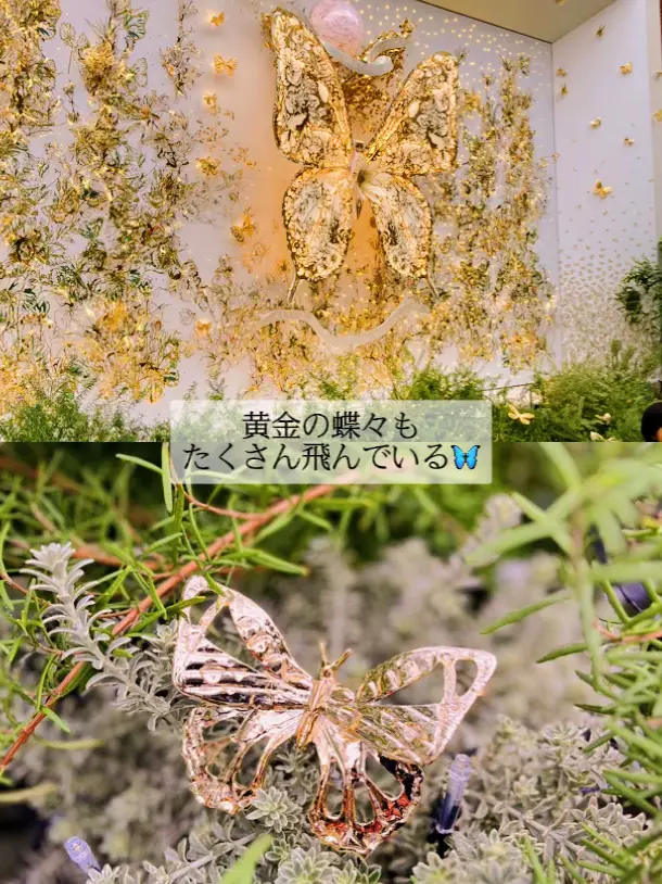 絵本好き○ 蟻と蝶々 うすく 