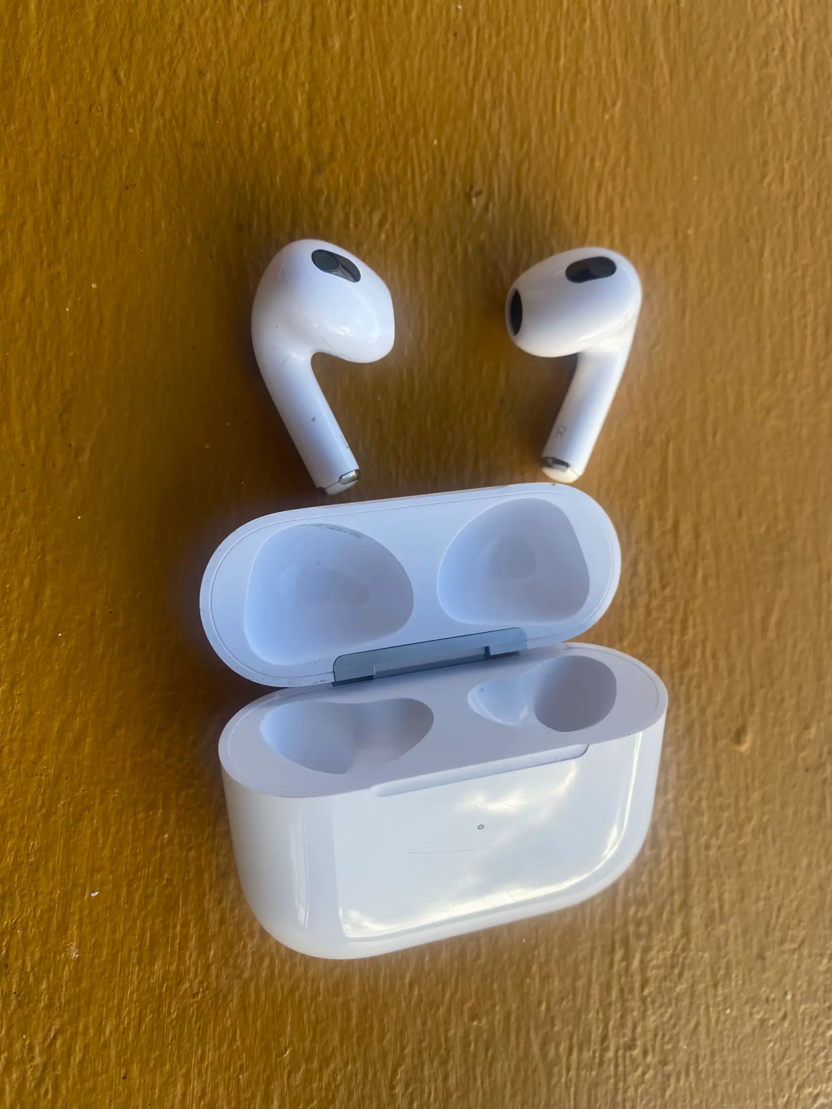 Ultimate AirPods Pro 2 Cases: Top 3 Picks in 2023 – ThinBorne
