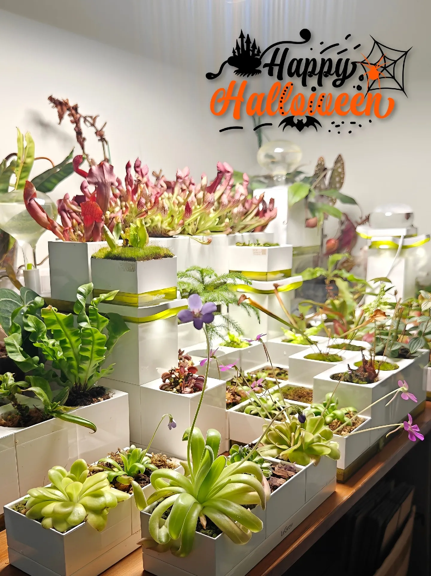 サボテン　ライト　インテリア　置物　観葉植物　鉢植え　ポット　カフェ　西部 サボテン ライト インテリア 置物 観葉植物 鉢植え ポット カフェ 西部