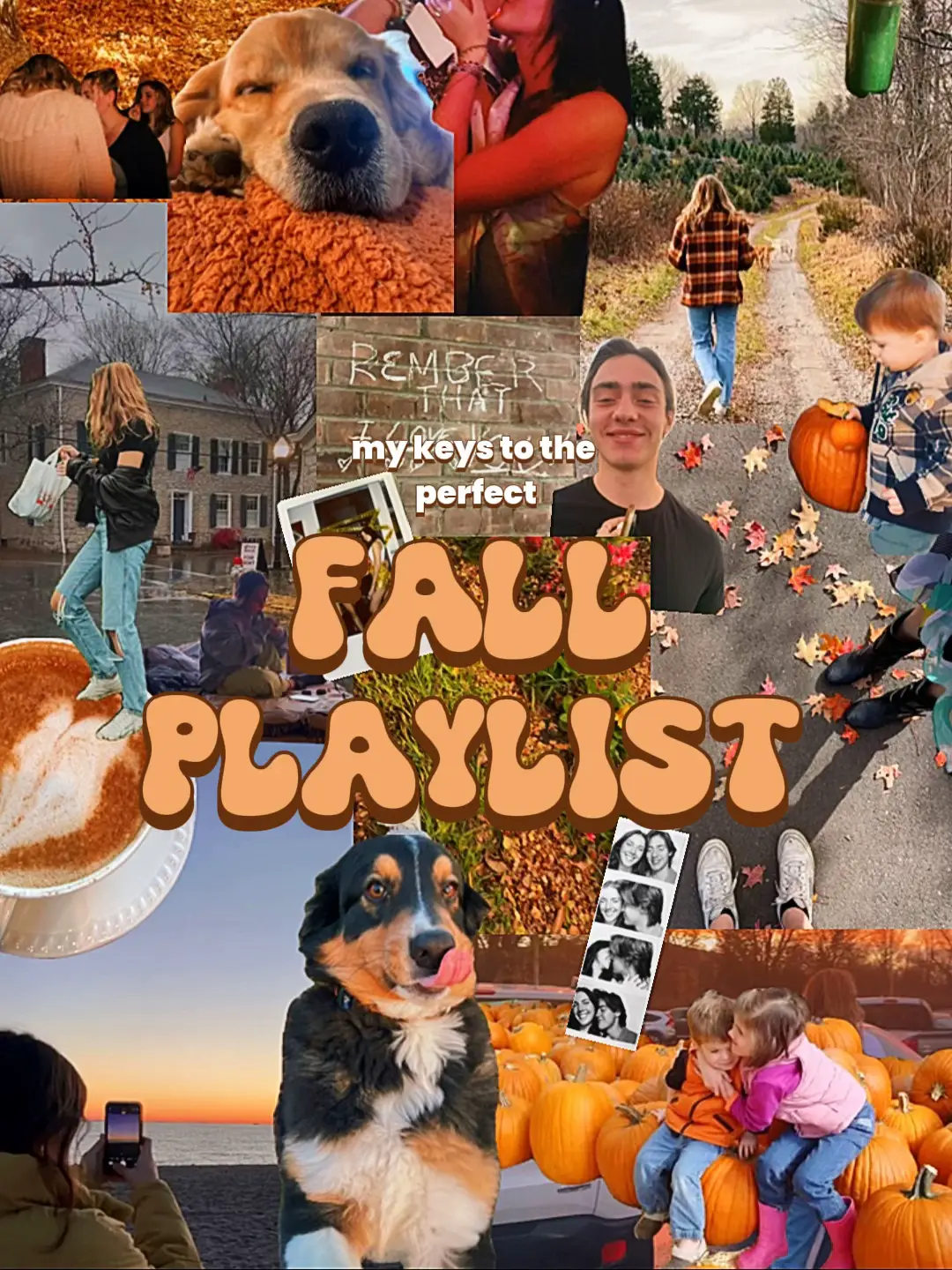 Essentials for the Perfect Fall Playlist's images