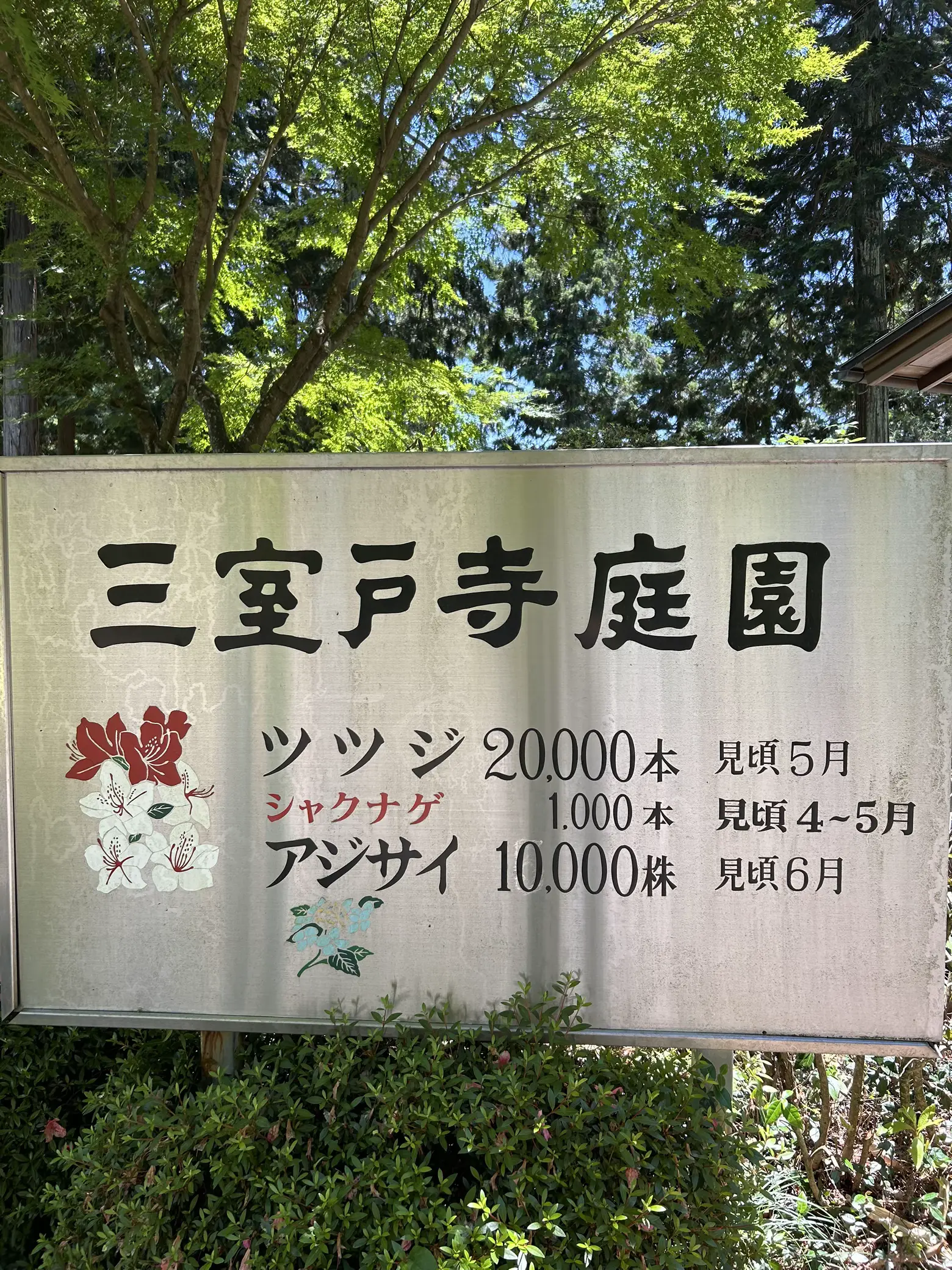 切り絵御朱印】光る君シリーズ✨京都宇治 | たけまい/スタエフ京都観光部が投稿したフォトブック | Lemon8