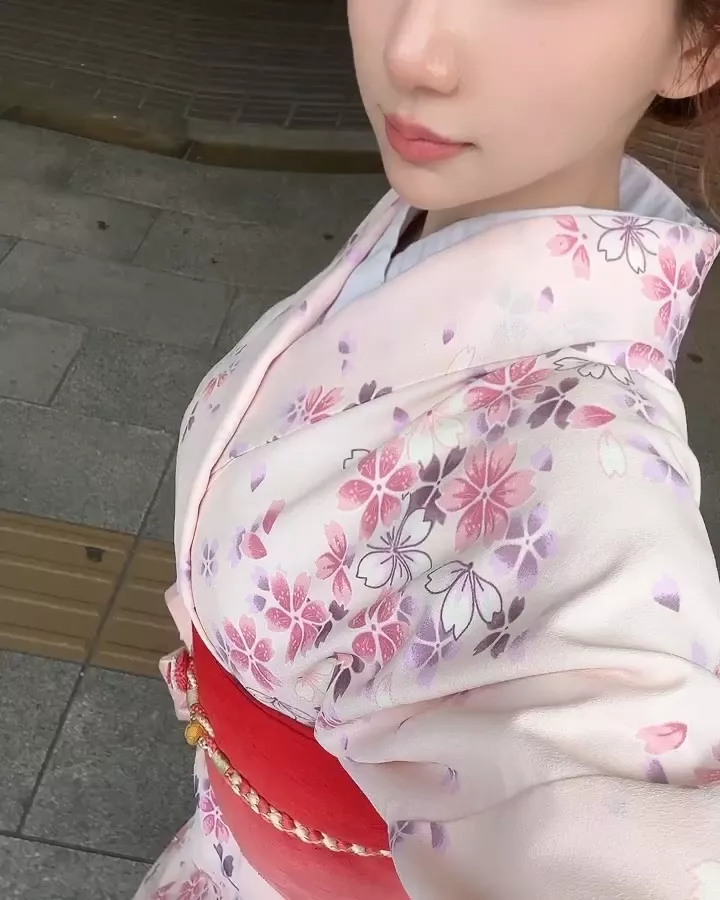 なこ様 訪問着❣️一度のみ着用です定価30万円‼️ 日本の着物初