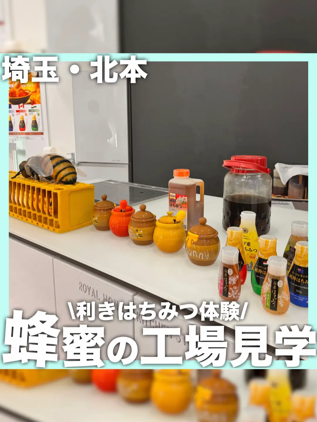 ハチミツの工場見学🍯