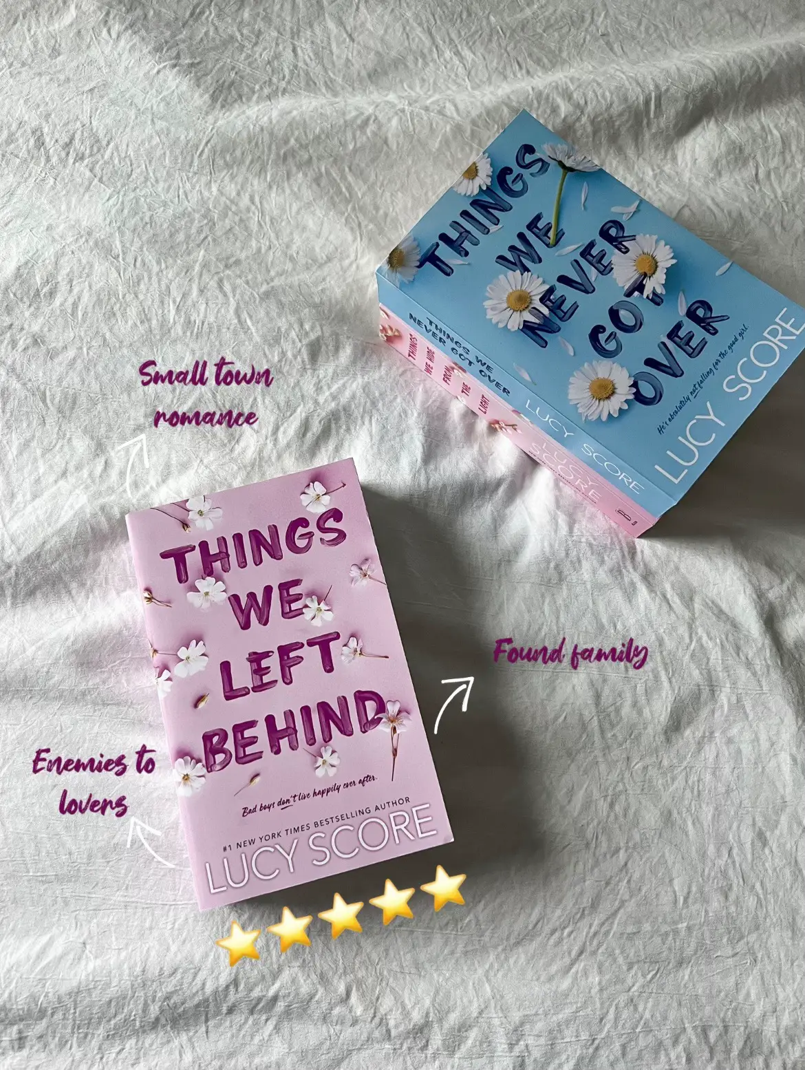 10 Books Like Things We Never Got Over by Lucy Score (Small-Town Grumpy  Sunshine) - What to Read Next