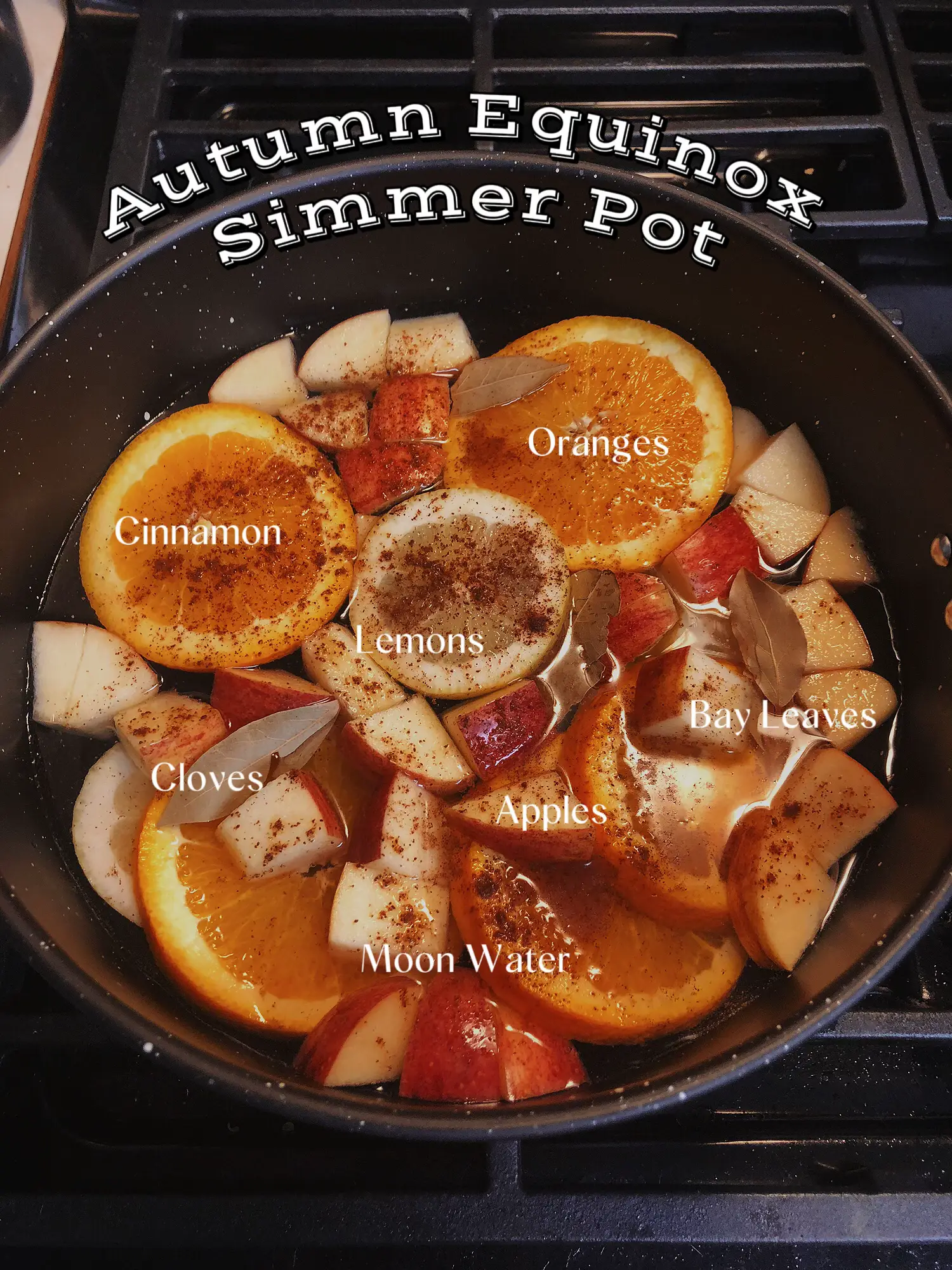 Simple Simmer Pot Recipes for Each Season of the Year - Sonata