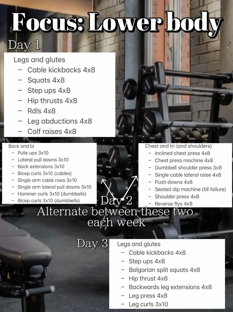 DAY 1 of EPIC  Bodyweight & Dumbbell Lower Body Workout 