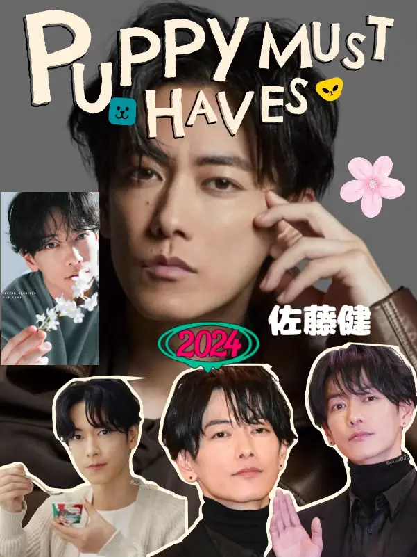 佐藤健くん Aタートル 完売品 （恋つづ」天堂ファッションは