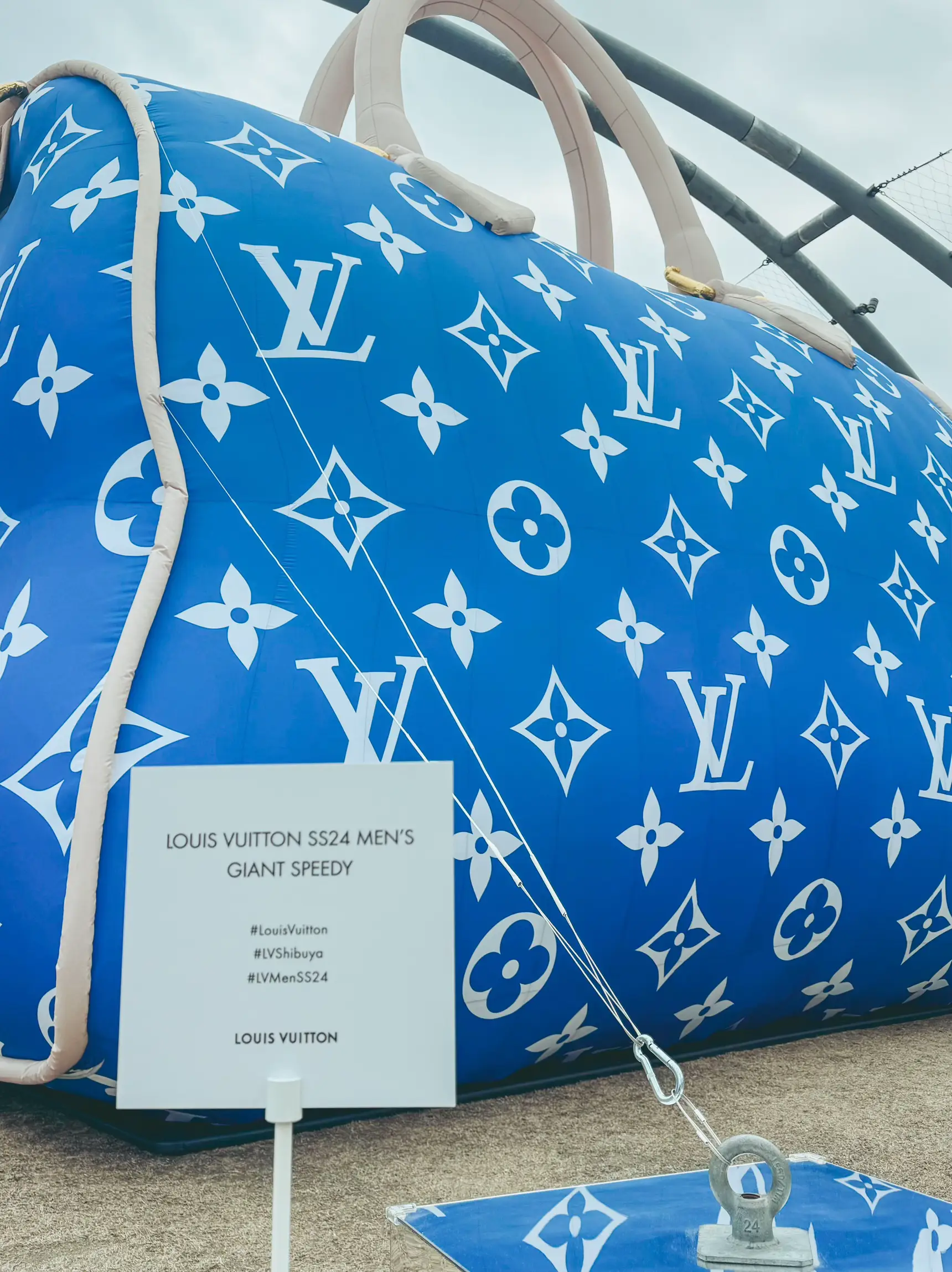 3D model Louis Vuitton Speedy Bandouliere 25 Yayoi Kusama VR / AR