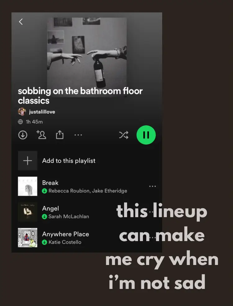 Spotify Playlists that VIBEEEE's images(3)