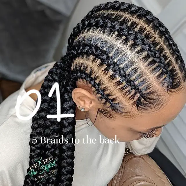 20 top Braids to The Back ideas in 2024