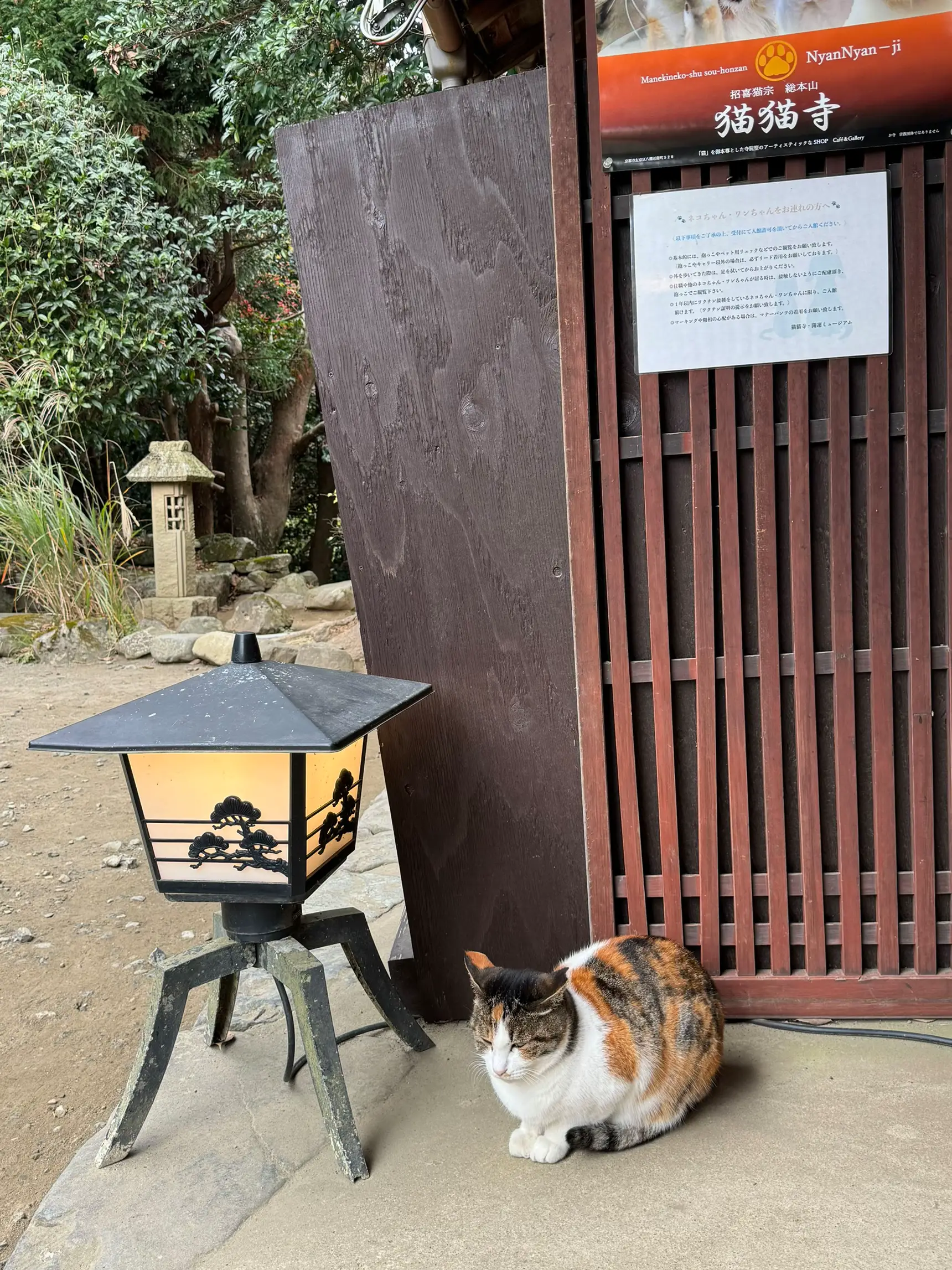 2022年 猫の日記念 ニャンニャンニャン切符 猫猫寺拝観券 叡山 