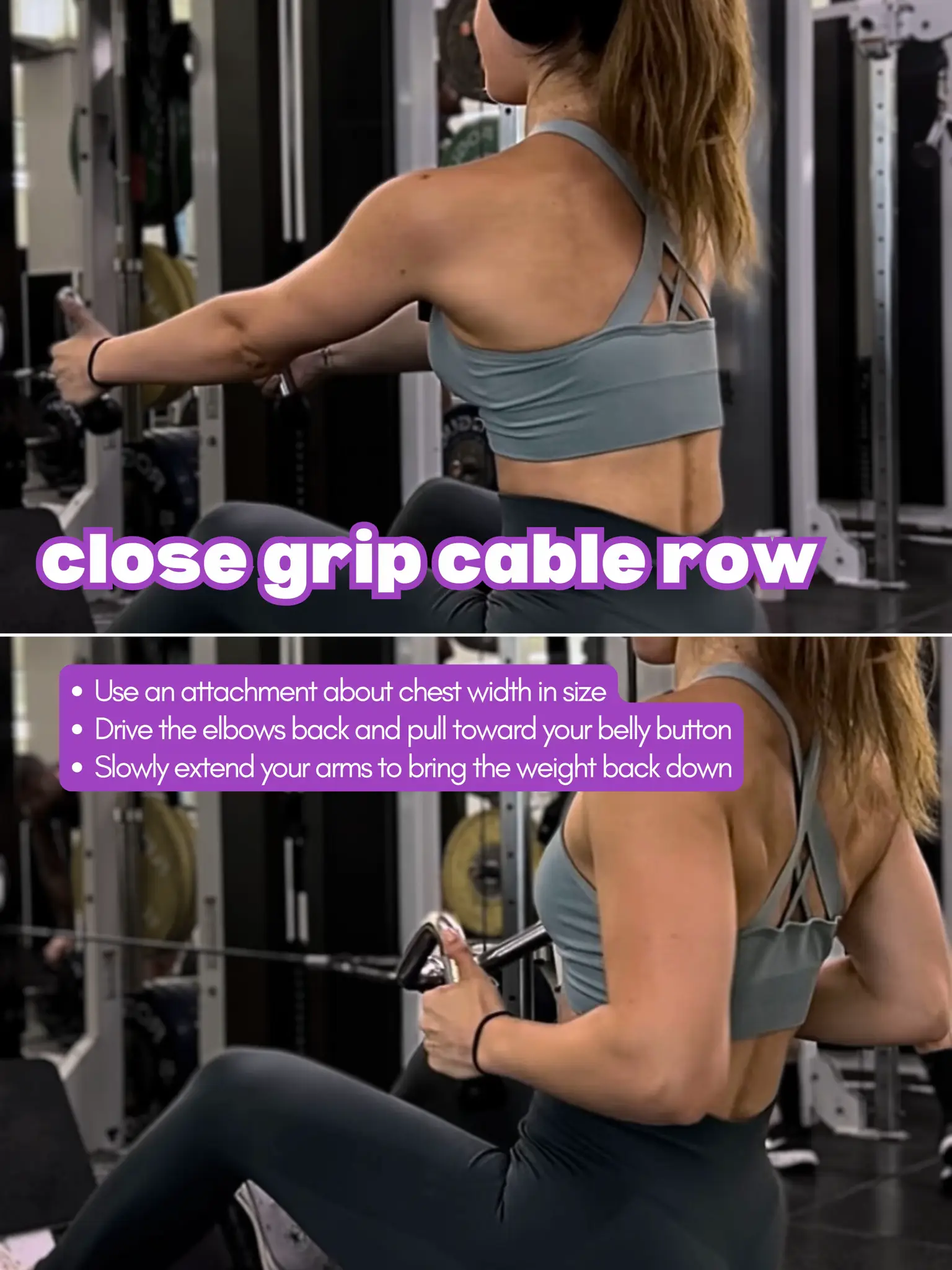 19 top Variations of Rows for A Complete Back Workout ideas in 2024
