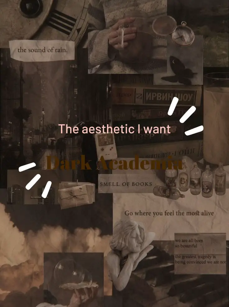 Dark Academia Aesthetic Bundle Thrift Sustainable Clothing Mystery Box  Clothing, Book, Watch 