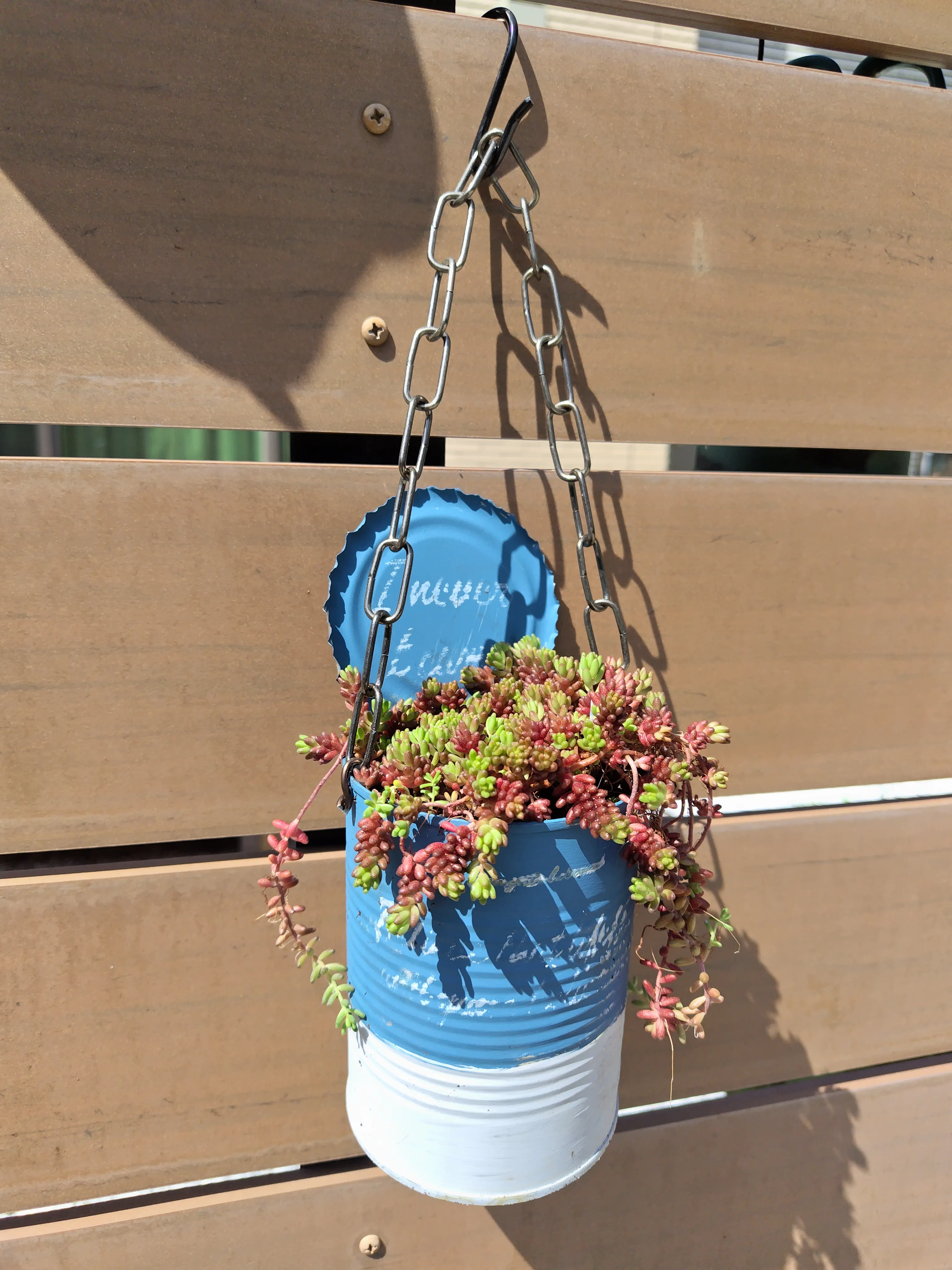 6号平鉢☆漆喰風　リメイク鉢　リメ鉢　リメイク缶　多肉寄せ植え　リメ缶 NO116 リメイク缶リメイク鉢リメ缶寄せ植え多肉