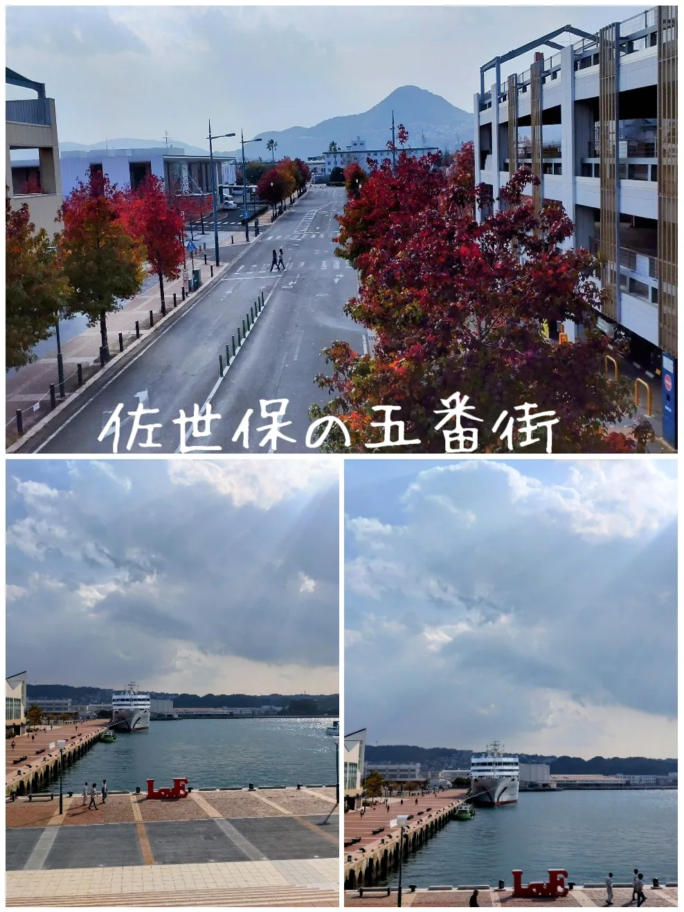 Gallery Posted By FujimiYamashita Lemon8 gallery-posted-by-fujimiyamashita-lemon8