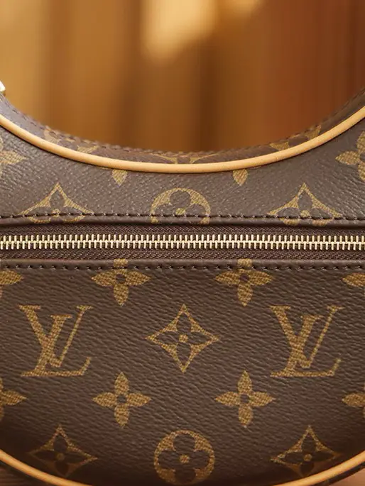 Is the LOUIS VUITTON LOOP the PERFECT fall/winter bag??? What fits