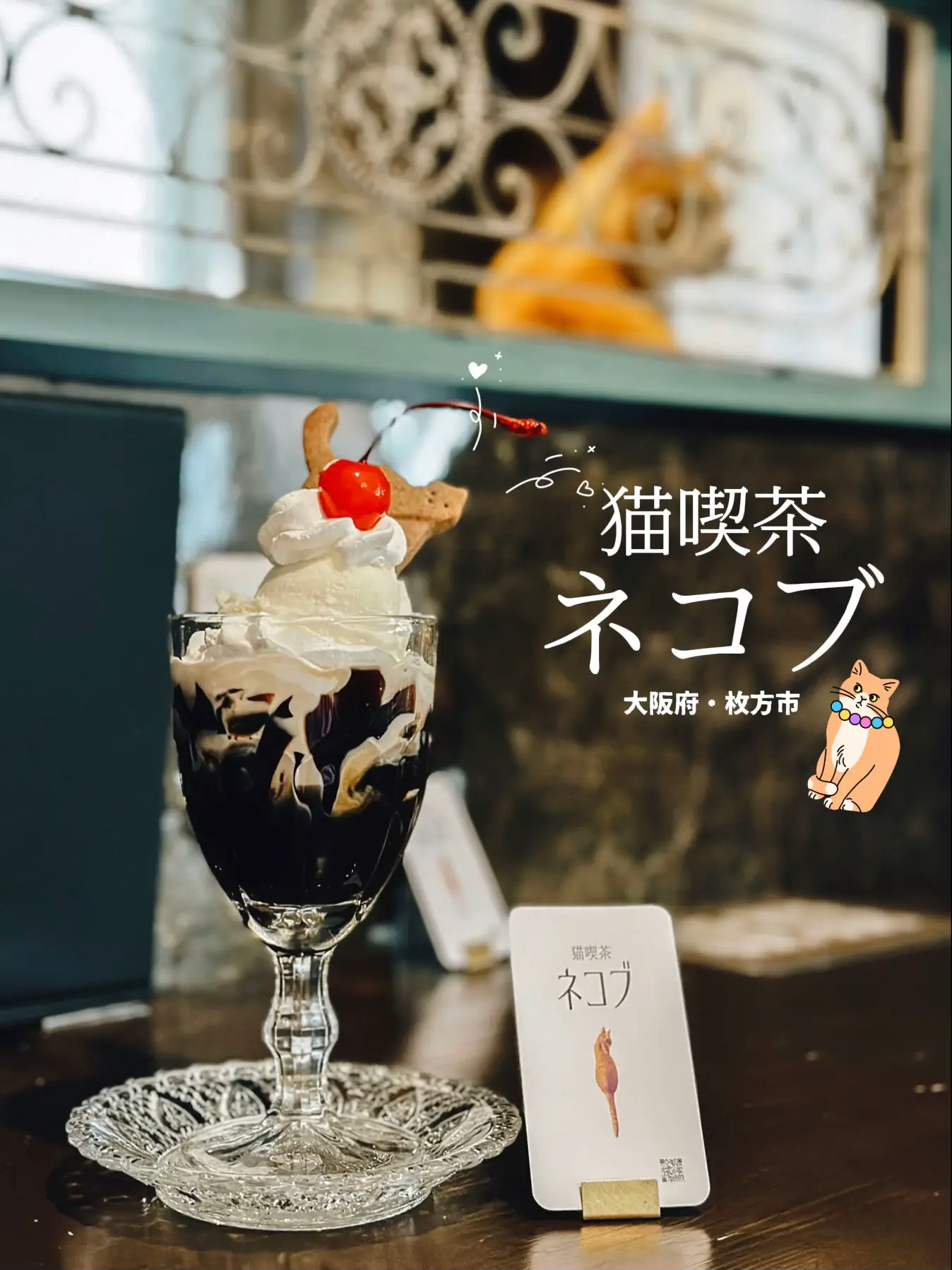 🐈猫ちゃんに会える喫茶店☕️】📍大阪府・枚方市 週末大阪旅🚄 | モデルが巡るグルメ😋ゆほまるが投稿したフォトブック | Lemon8