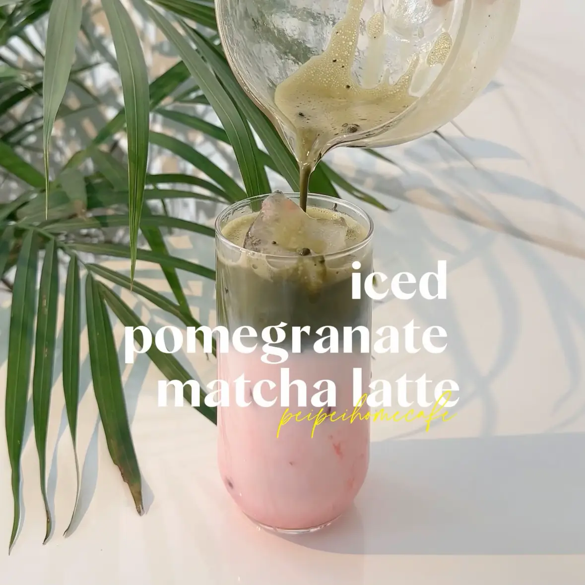Matcha Latte Recipe - PlantYou