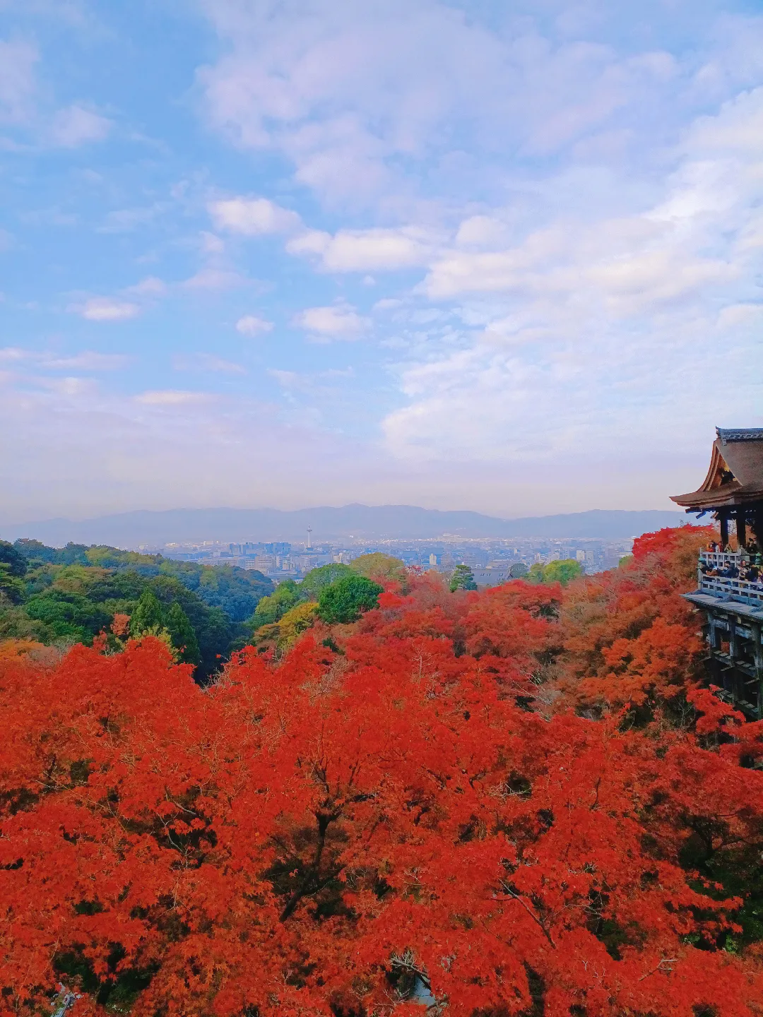 【京都ぶらり】2023京都紅葉 世界遺産清水寺の紅葉の画像 (4枚目)